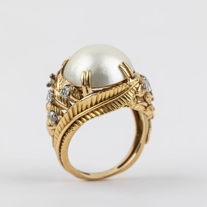 Mabé pearl 