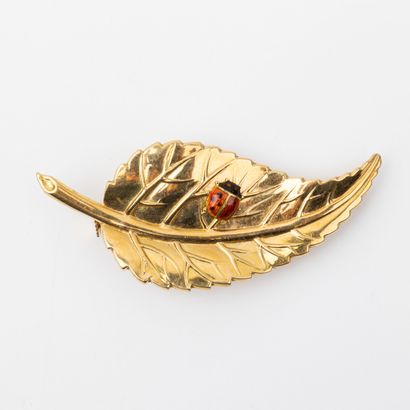 Leaf and ladybug