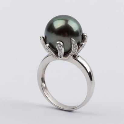 Large cocktail ring, gray pearl, approx....