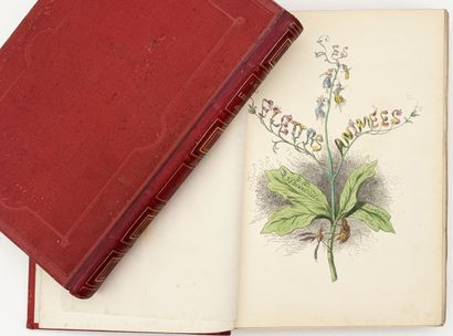 [GRANDVILLE]. LES FLEURS ANIMÉES par J. J....