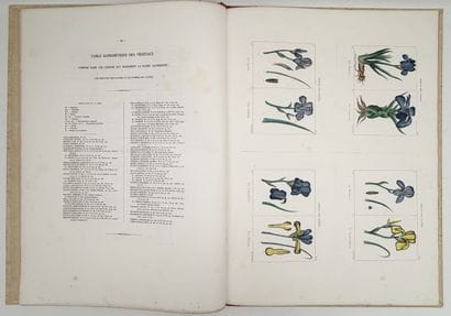 [ALGÉRIE]. CHAMPY (P.). FLORE DE L'ALGÉRIE,...