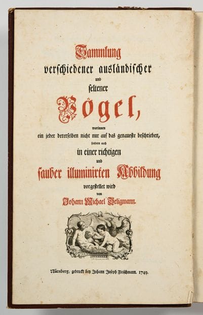 [OISEAUX - ORNITHOLOGIE]. SELIGMANN (Johann...