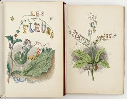 [GRANDVILLE]. LES FLEURS ANIMÉES par J. J....