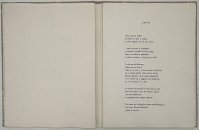[FINI]. PIÑEIRO (Juan). LES ÉLUS DE LA NUIT....