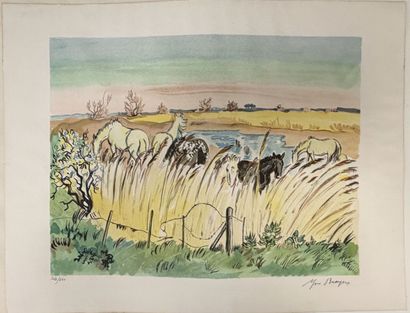 [BRAYER]. VIALAR (Paul). LE CHEVAL. P., Éditions...