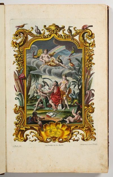 [OISEAUX - ORNITHOLOGIE]. SELIGMANN (Johann...