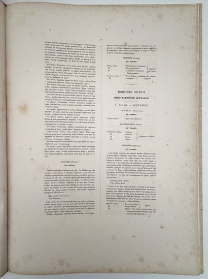 [ALGÉRIE]. CHAMPY (P.). FLORE DE L'ALGÉRIE,...