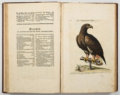 [OISEAUX - ORNITHOLOGIE]. SELIGMANN (Johann...