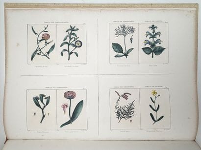 [ALGÉRIE]. CHAMPY (P.). FLORE DE L'ALGÉRIE,...