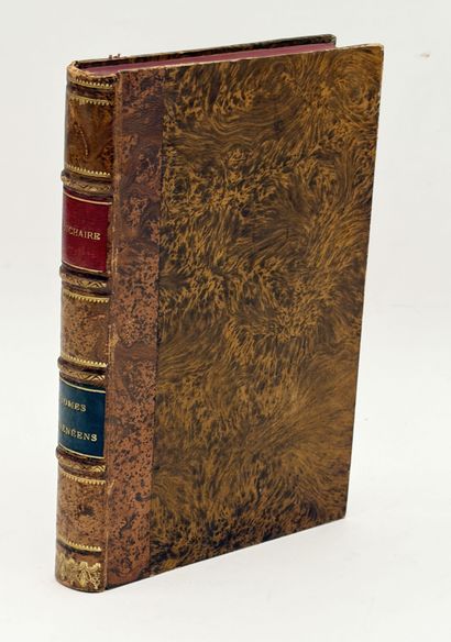 [PYRÉNÉES]. LUCHAIRE (Achille). ÉTUDES SUR...