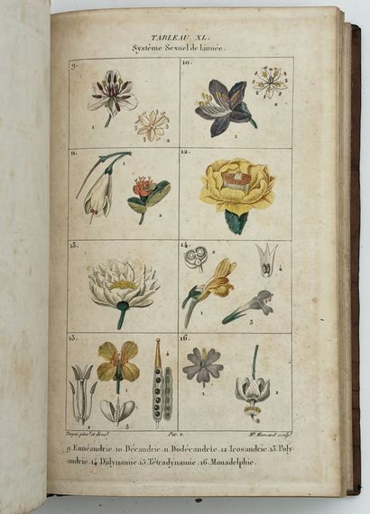 POIRET (P. J. F.). LEÇONS DE FLORE. Cours...
