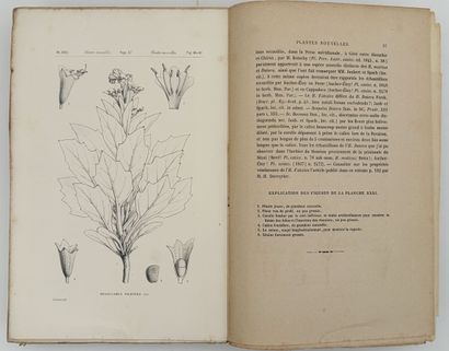 [ALGÉRIE]. DUVEYRIER (Henri). LES TOUAREG...
