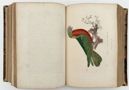 [VOYAGES]. LESSON (R.-P.). VOYAGE AUTOUR...