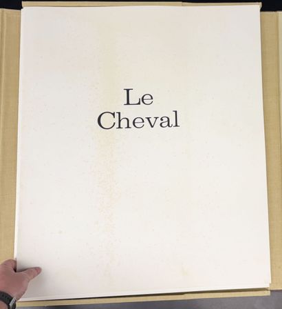 [BRAYER]. VIALAR (Paul). LE CHEVAL. P., Éditions...