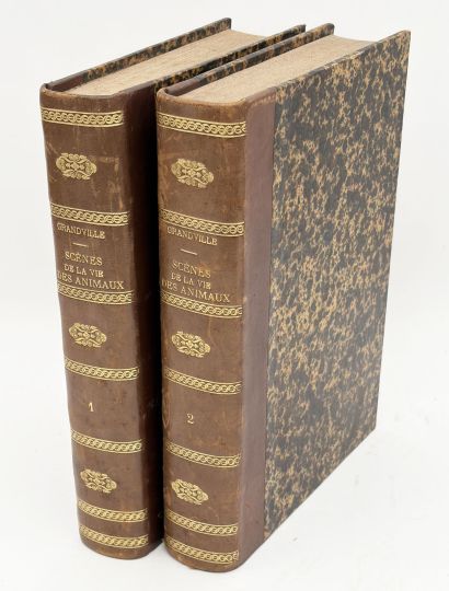 [GRANDVILLE (J. J.)]. LES MÉTAMORPHOSES DU...