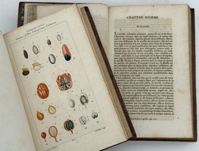 POIRET (P. J. F.). LEÇONS DE FLORE. Cours...