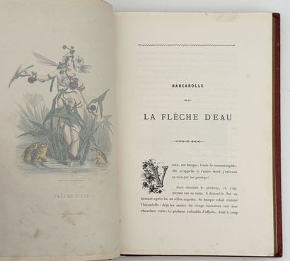[GRANDVILLE]. LES FLEURS ANIMÉES par J. J....