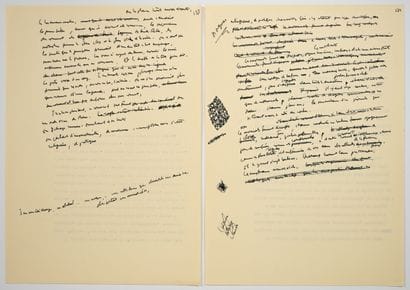 [AUTOGRAPHE]. RASPAIL (Jean). LES YEUX D'IRÈNE....