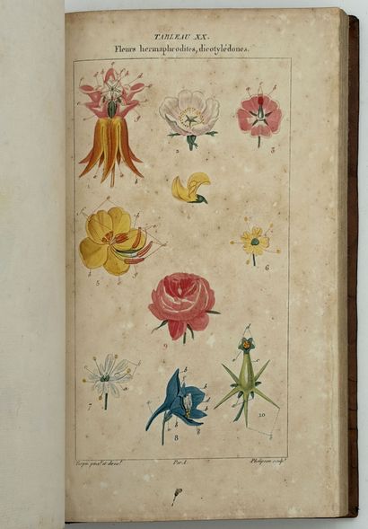 POIRET (P. J. F.). LEÇONS DE FLORE. Cours...