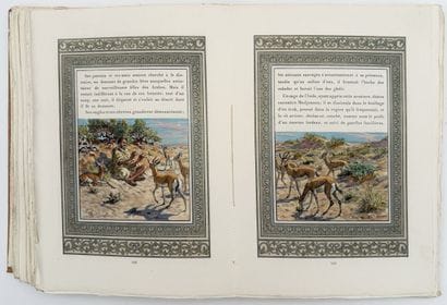 [DINET]. BEN IBRAHIM (S.). EL FIAFI OUA EL...