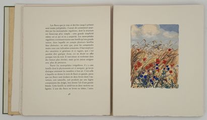 POURRAT (H.). LE TEMPS QU'IL FAIT. Calendrier...