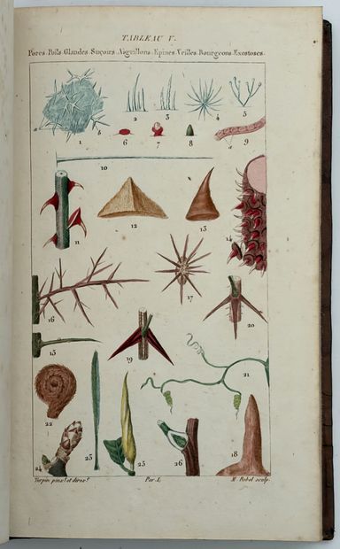 POIRET (P. J. F.). LEÇONS DE FLORE. Cours...