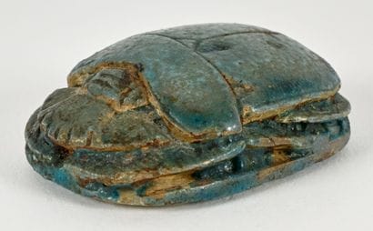 Beetle with a text engraved on its back in...