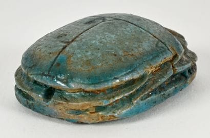 Beetle with a text engraved on its back in...