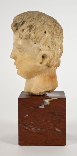 Male head, with hair consisting of short,...