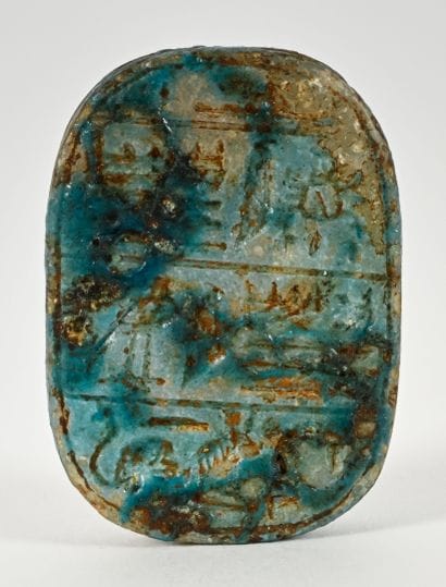 Beetle with a text engraved on its back in...