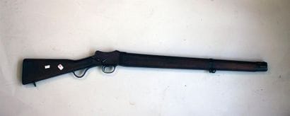 Fusil mono coup Greener MKIII dit police...