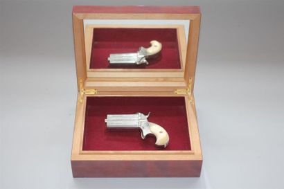 Pistolet type Derringer européen double en...