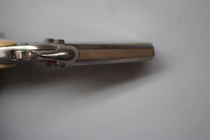 Pistolet type Derringer européen double en...