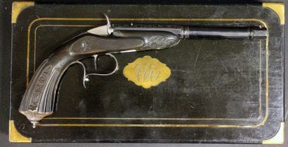 Très beau pistolet de tir système Flobert...