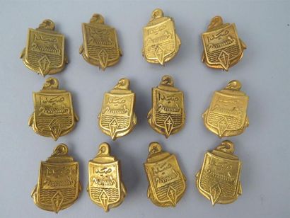 Lot de 12 insignes régimentaires identiques...