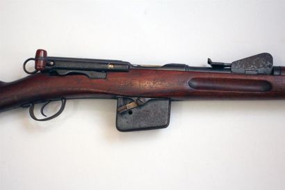 Fusil réglementaire Suisse Schmidt-Rubin...