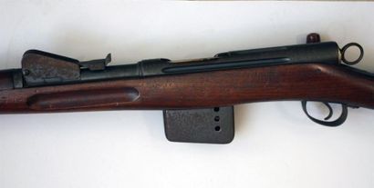 Fusil réglementaire Suisse Schmidt-Rubin...