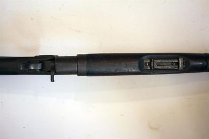 Fusil Remington Rolling Block modèle 1901,...