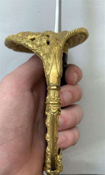 Sabre d'officier de marine française modèle...