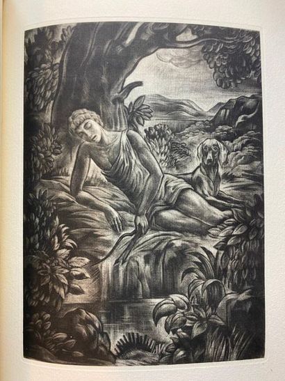 EMPTY. The Metamorphoses. Translation by...