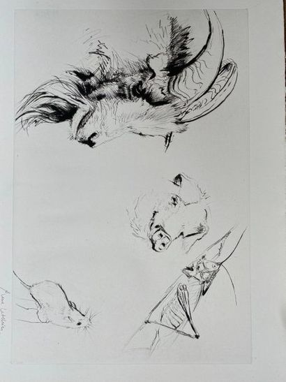 Fox (Jules). Natural stories. Paris, Cercle...