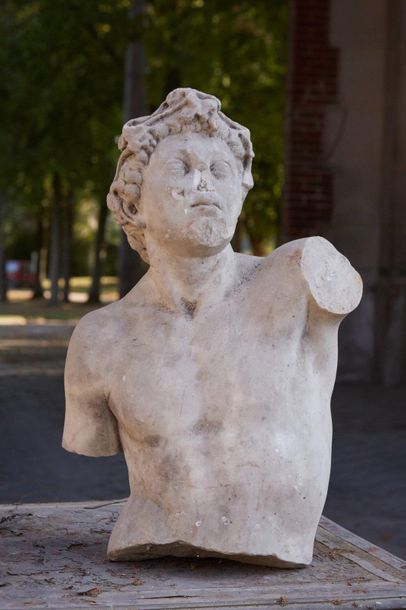 Sculpture in white marble representing Bacchus...