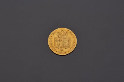LOUIS XVI (1774-1793)
Double louis d'or au...