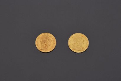 FRANCE - Deux pièces de 20 francs or 1815...