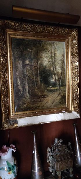 19th century school

Undergrowth landscape

Web...