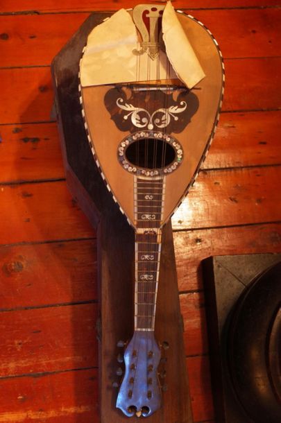 Luigi SALSEDO

Mandoline en bois de placage...