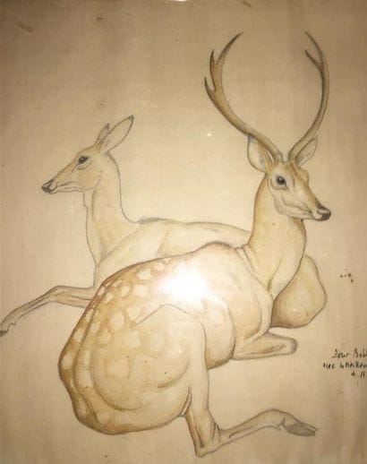 Ecole MODERNE du XXe siècle

Cerf et biche

Pierre...