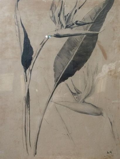 Ecole MODERNE

Etude de feuilles et végétaux...