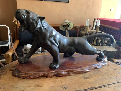 Un tigre en bronze à patine noire sur socle...