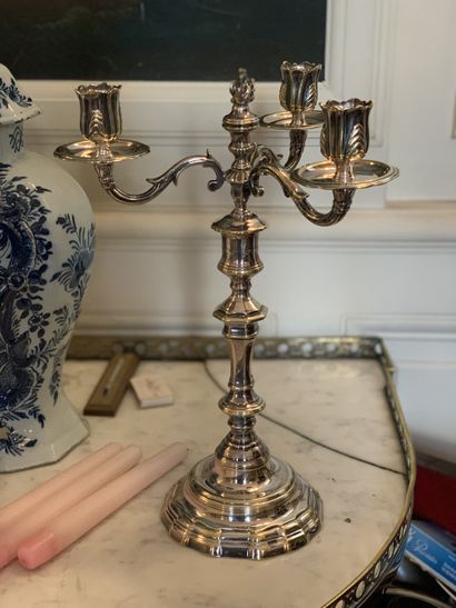 Paire de candélabres en bronze argenté de...
